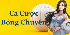 cá cược bóng chuyền