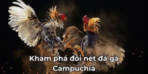 Giới thiệu về trò đá gà Campuchia