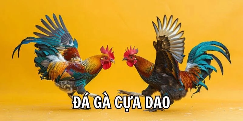 3 cửa cược thường gặp trong đá gà