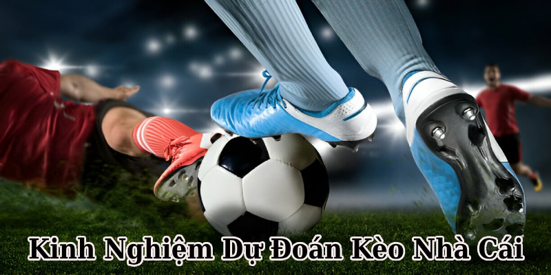Kinh nghiệm dự đoán hay từ cao thủ