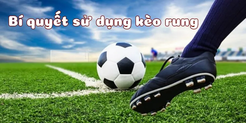 Bí quyết chơi kèo rung giúp anh em dễ dàng chiến thắng