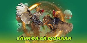 Giới thiệu về sảnh Digmaan đá gà mạng nổi tiếng