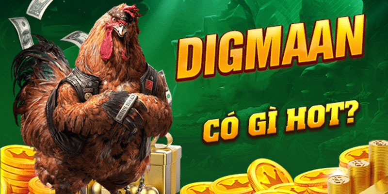 Luật chơi chọi kê dành cho khách hàng tham gia