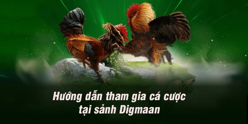 Đấu trường cuốn hút hàng triệu khách tham gia