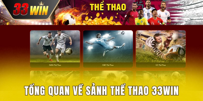 Giới thiệu về danh mục giải trí thể thao 33WIN